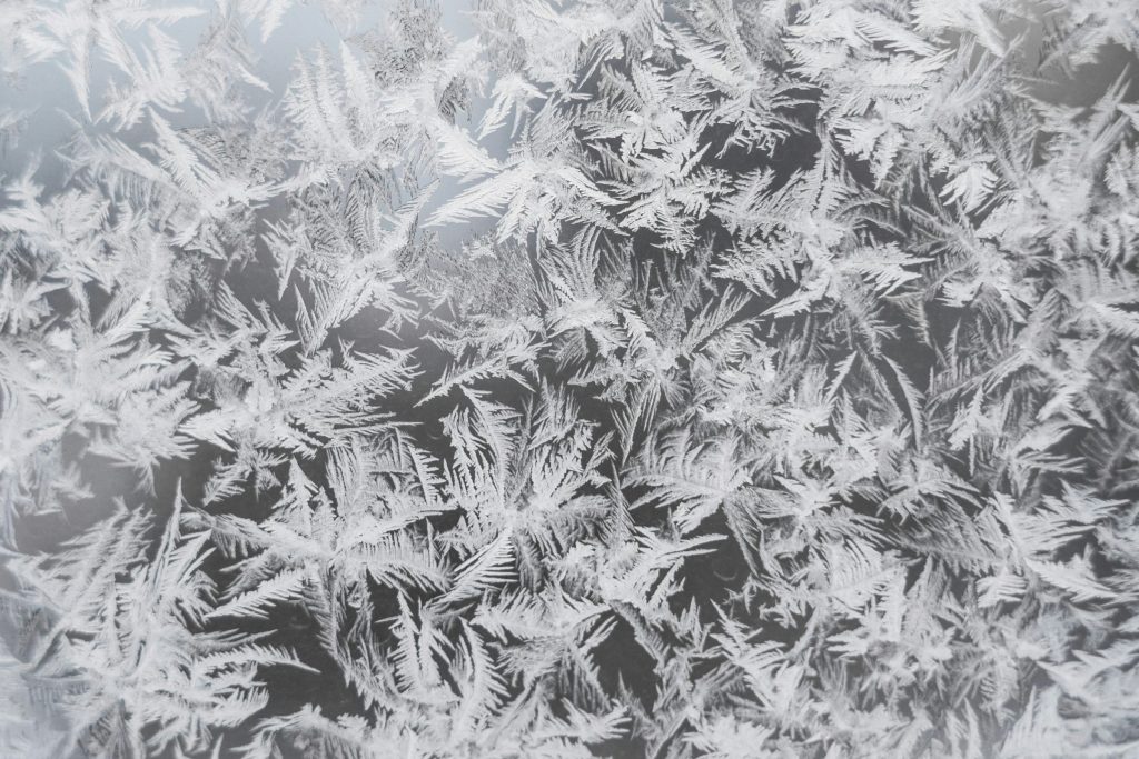 The evaporator behind an opened freezer panel — the first thing opened on a warm refrigerator